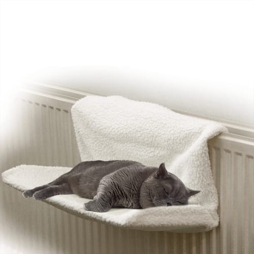 Pets essentials cat - pets,
