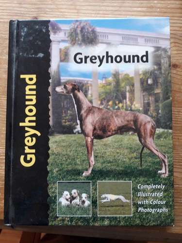 Greyhound illistrated - greyhound,