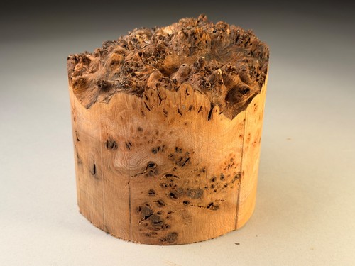 Amazing live edge burr elm - live,