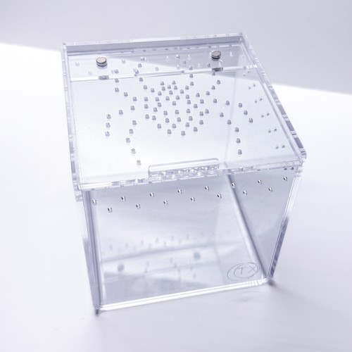 Cube shaped acrylic - acrylic, enclosure