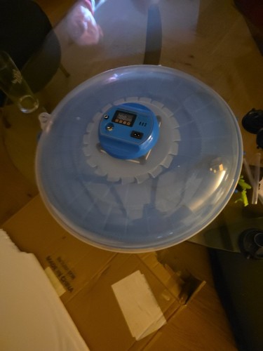 Plug egg incubator led - 26,