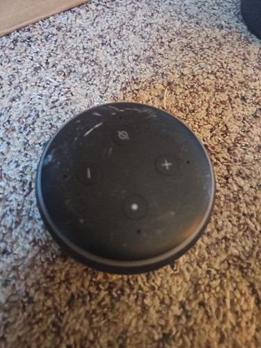 Amazon echo dot - amazon,