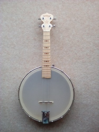 Deering goodtime banjo concert - banjo,