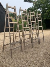 Stephens & Carter wooden trestle ladders