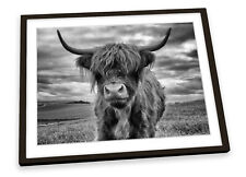Highland Cow B&W Grey FRAMED ART PRINT Picture Poster Artwork