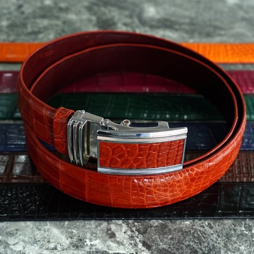 Jointed 5 crocodile - no,
