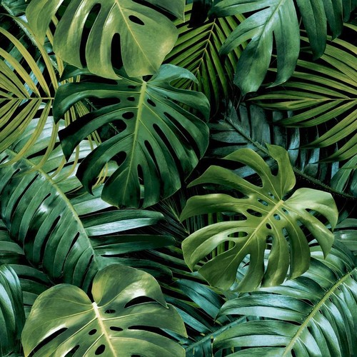 Arthouse living wall green - arthouse,
