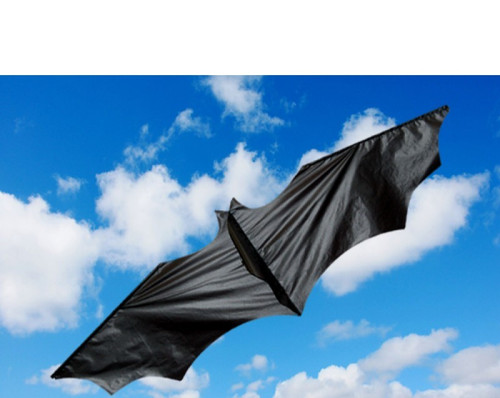 Didak mini bat kite - mini,