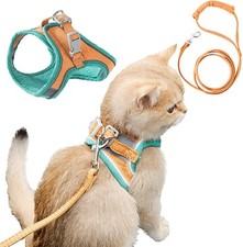 Pawras Cat Harness, Pawras Cat