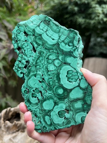 Large malachite slab slice - large,