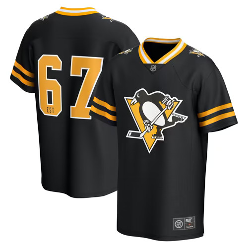 Pittsburgh penguins nhl - pittsburgh,