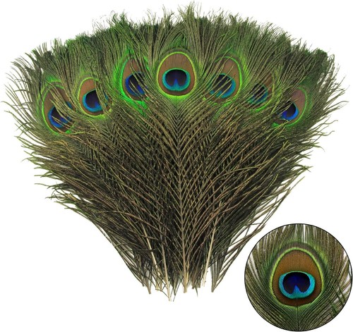 Tharaht 12pcs peacock feather - tharaht,
