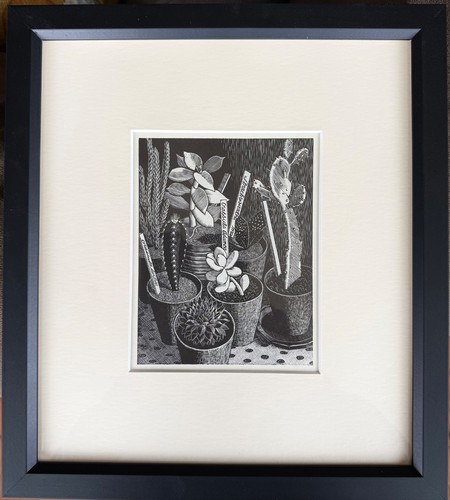 Tirzah garwood cactus - garwood,