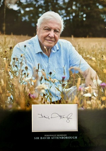 Sir david attenborough hand - attenborough,