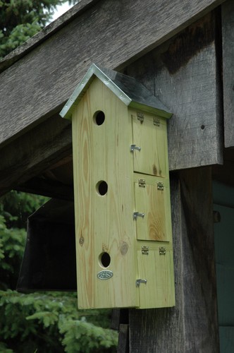 Sparrow bird flat wooden - sparrow,