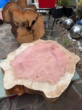 Huge Redwood Sequoia Live Edge Cookie Slab Tree Slice Semi Seasoned Ref:S3