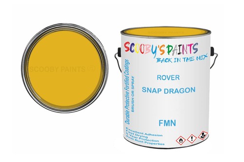 Classic paint for triumph - for,