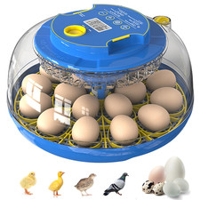 18 Egg Incubator for Hatching