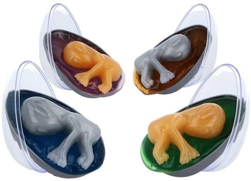 Henbrandt alien egg - henbrandt, baby