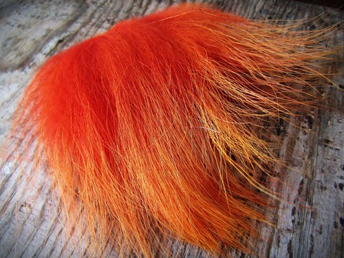 Ifs fin raccoon - body, fur