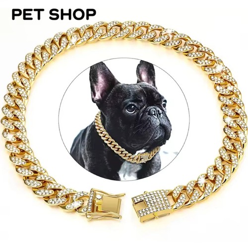 Dog cat diamond - diamond, cuban