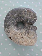 Hongshan Culture Jade Pig Dragon "zhulong"