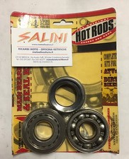 Bearing and oil seal kit for