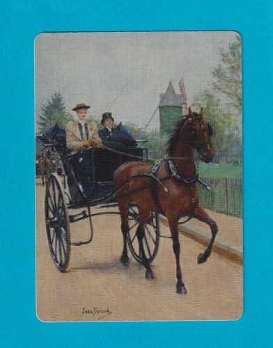 Single carriage horse - horse, and