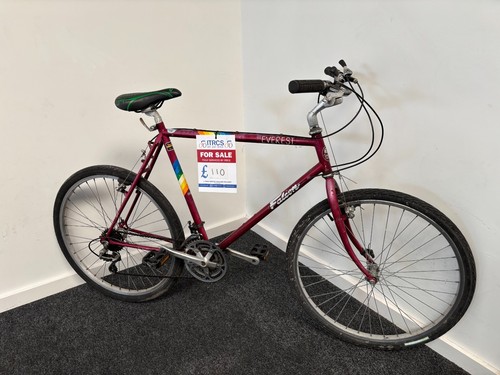 Vintage falcon everest - vintage,