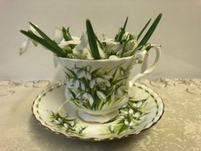 Royal Albert Flower Of The