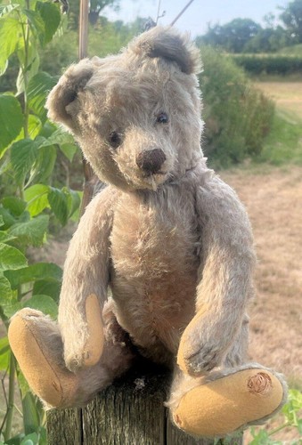 Moose adorable early - 'moose',
