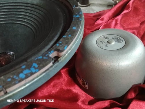 Alnico guitar speaker - alnico,