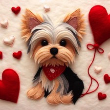 Luxury Yorkshire Terrier