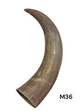 ONE MEDIUM UNPOLISHED COW HORN