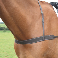 Shires Velociti GARA Elastic