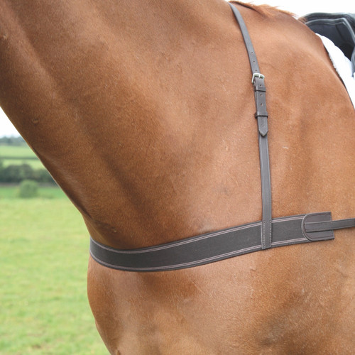 Shires velociti gara elastic - velociti,