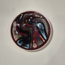 Retro Poole Pottery Delphis