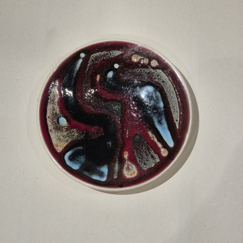 Retro poole pottery delphis - retro,