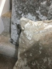 sofa cushions from hombase