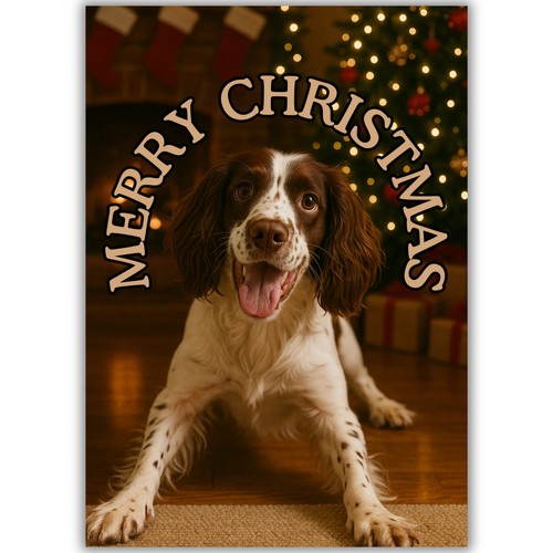 Cute springer spaniel dog - springer,