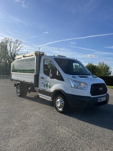 Ford transit tipper - ford,