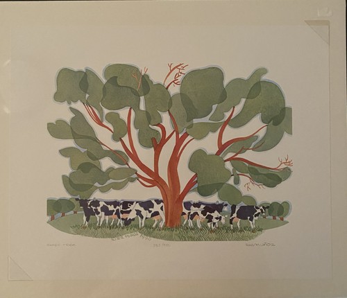 Shade tree - tree, wa)