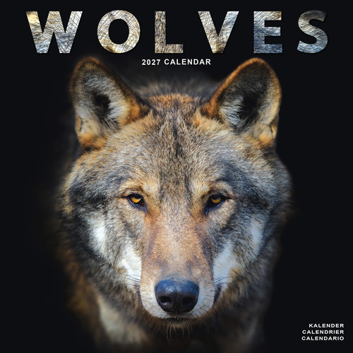 Wolves 2027 calendar animal - 2027,