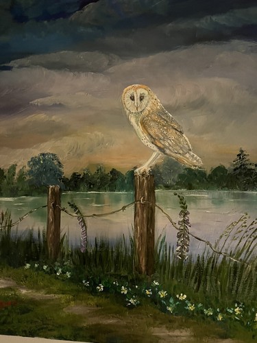 Original barn owl - oil, painting