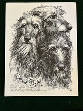 Scottish Deerhound Print 8x 10