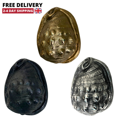 Metal sea shell decor - sea, coastal