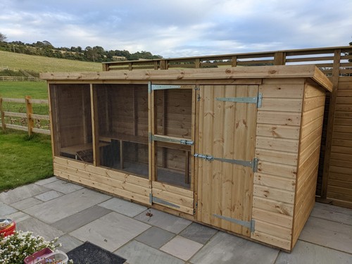 Rabbit hutch enrichment with - rabbit,