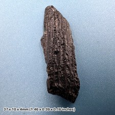 Indochinite Tektite Natural