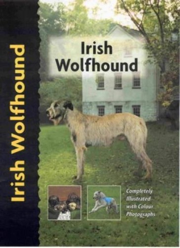 Irish wolfhound pet - irish, (pet