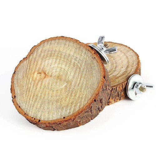 Natural wood bird cage - bird,